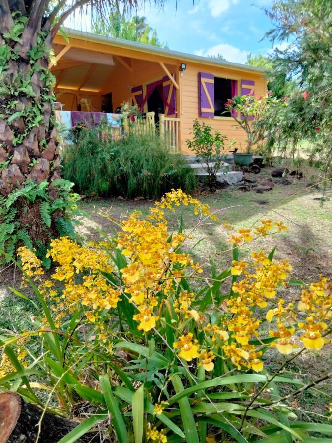 Vacances Bien Etre Guadeloupe Bouillante Εξωτερικό φωτογραφία