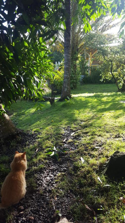 Vacances Bien Etre Guadeloupe Bouillante Εξωτερικό φωτογραφία