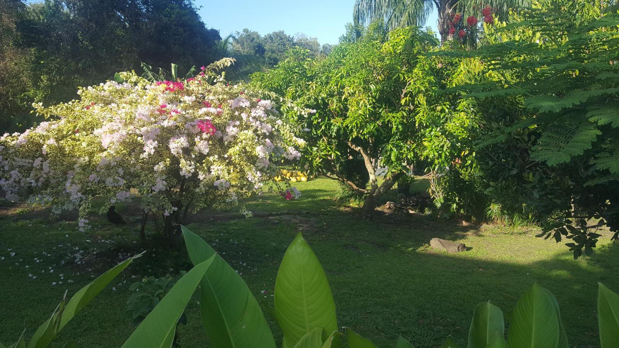 Vacances Bien Etre Guadeloupe Bouillante Εξωτερικό φωτογραφία