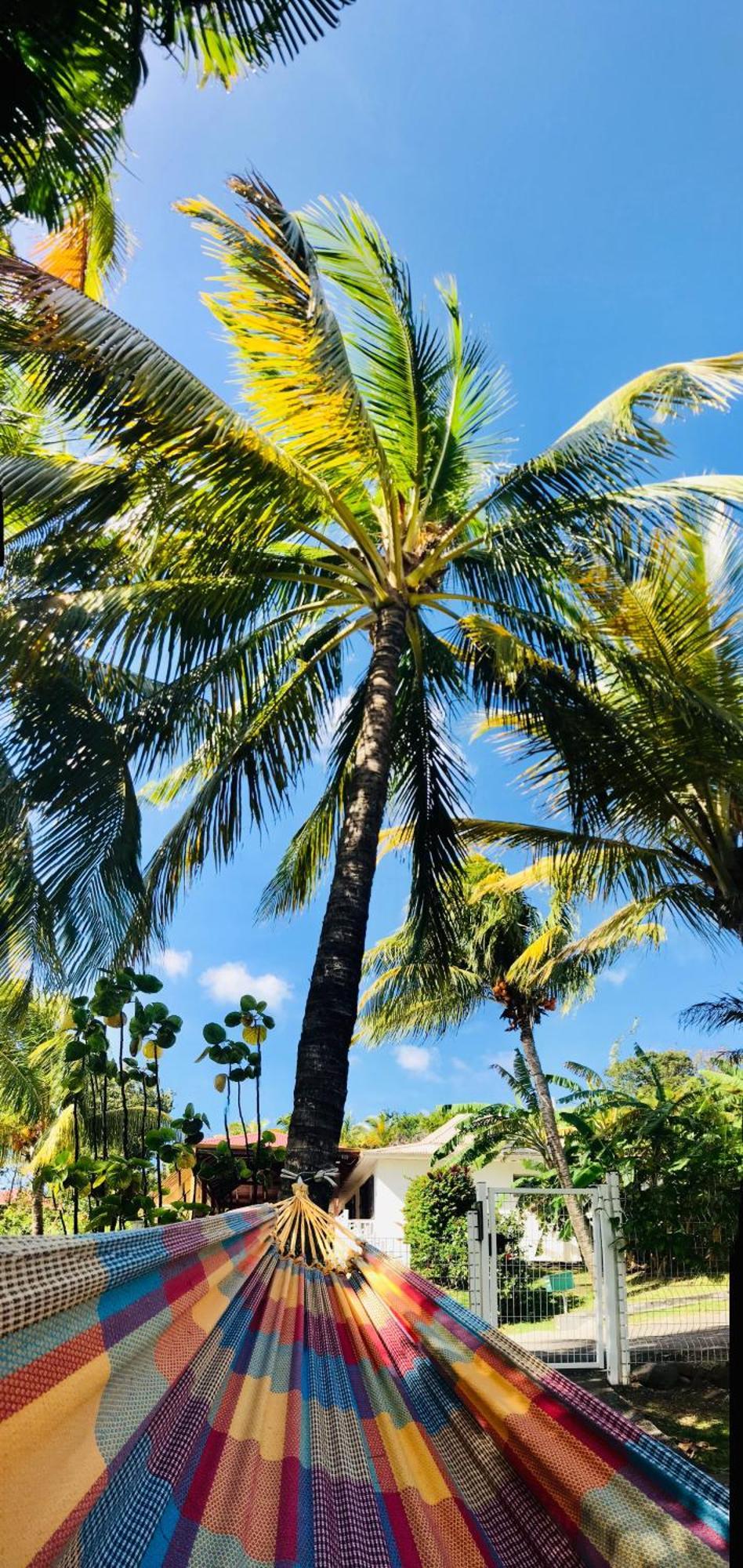 Vacances Bien Etre Guadeloupe Bouillante Εξωτερικό φωτογραφία